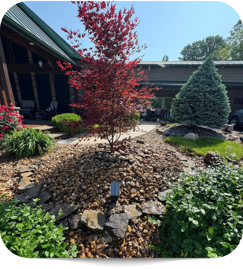 landscaping with river rocks and evergreen trees