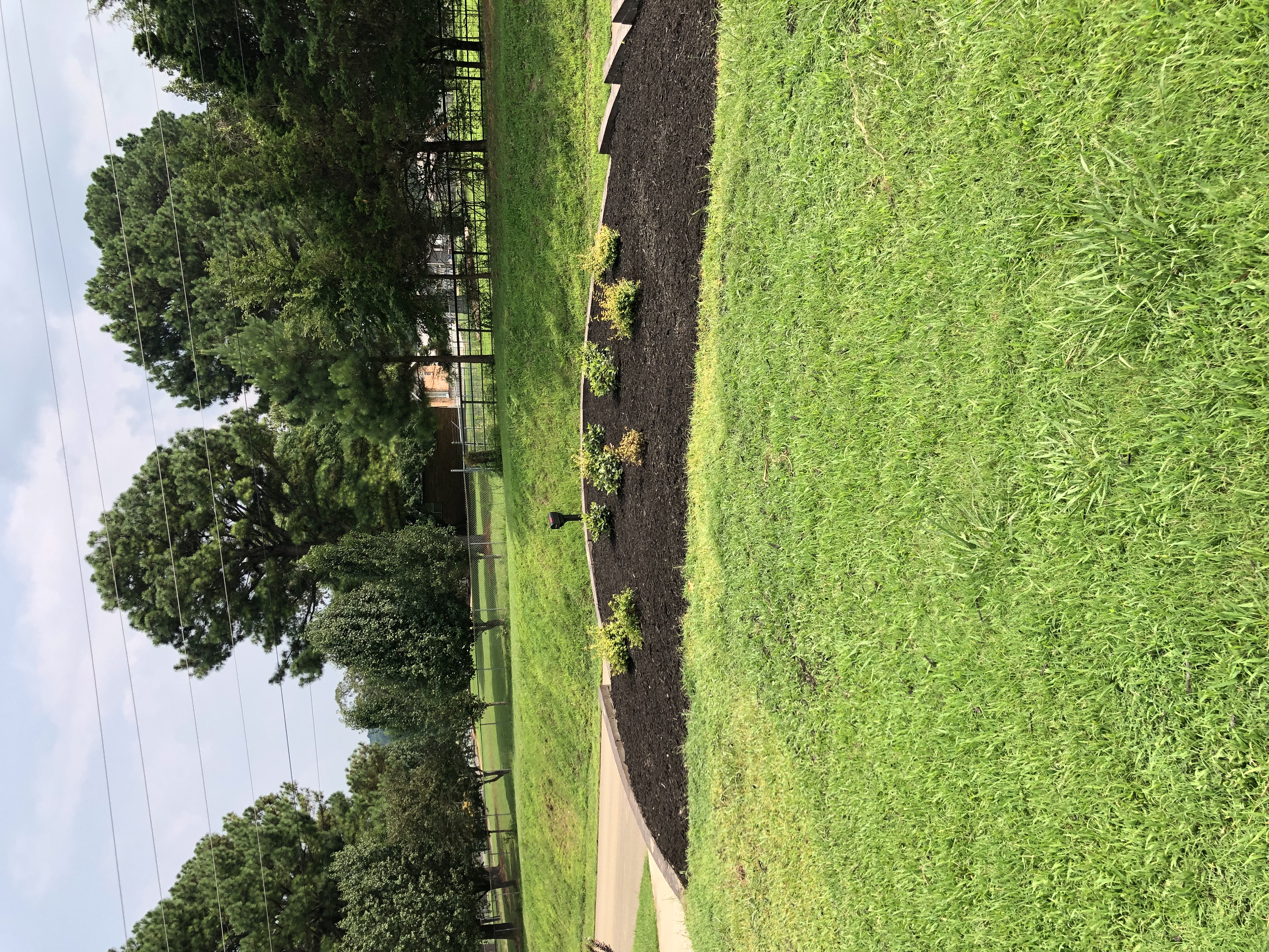 flowerbed installation