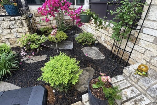 493908204_1000152775533577_3125477958243222366_n (1)