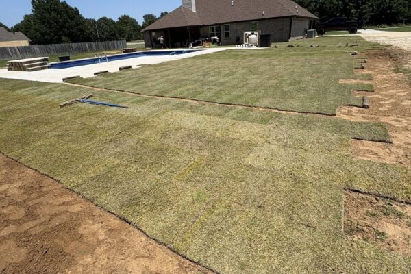 525256120_1053828210166033_6045579486154522770_n