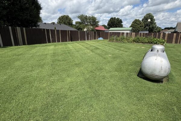 526447920_1056914109857443_8415425583426893444_n