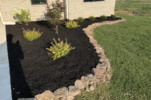 536017136_1072655031616684_5727063748183959154_n