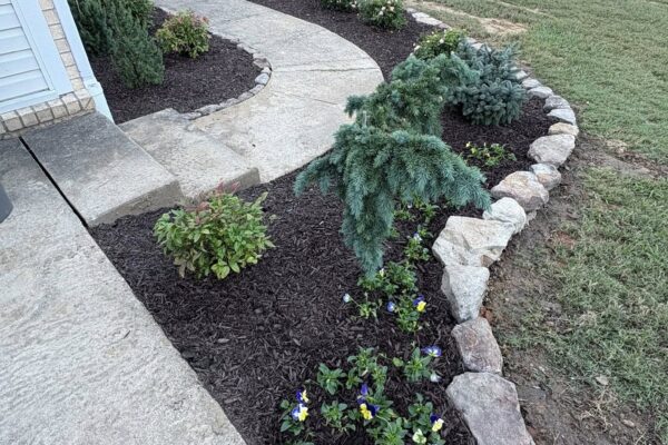 558007552_1113587260856794_8739664263014797553_n